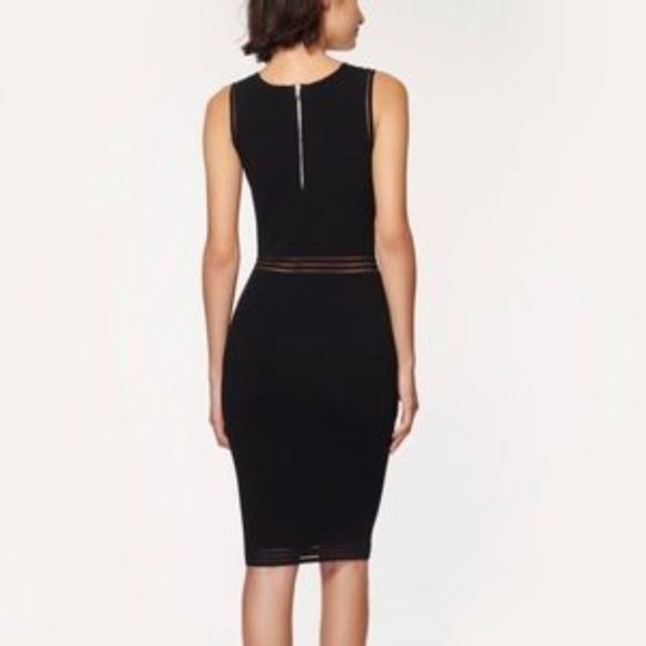 Milly Transparent Stripe Dress Size Petite - Picture 13 of 13